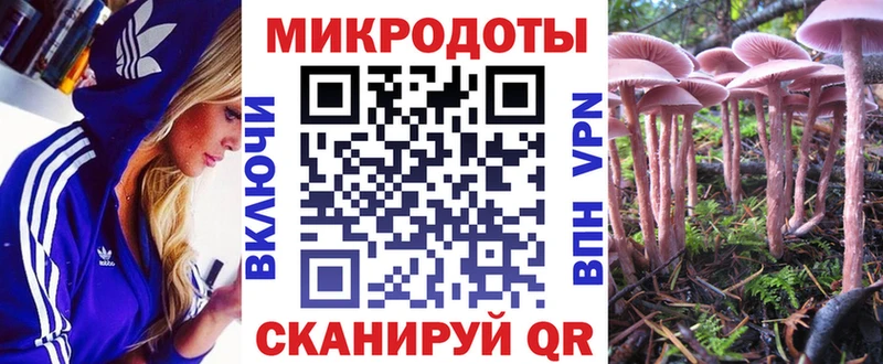 МЕГА как зайти  Мелеуз  Псилоцибиновые грибы Psilocybine cubensis 